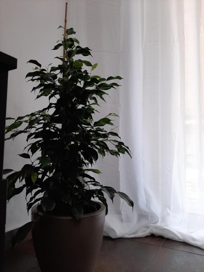 Glyfada Vacation Apt Apartman Athén Kültér fotó